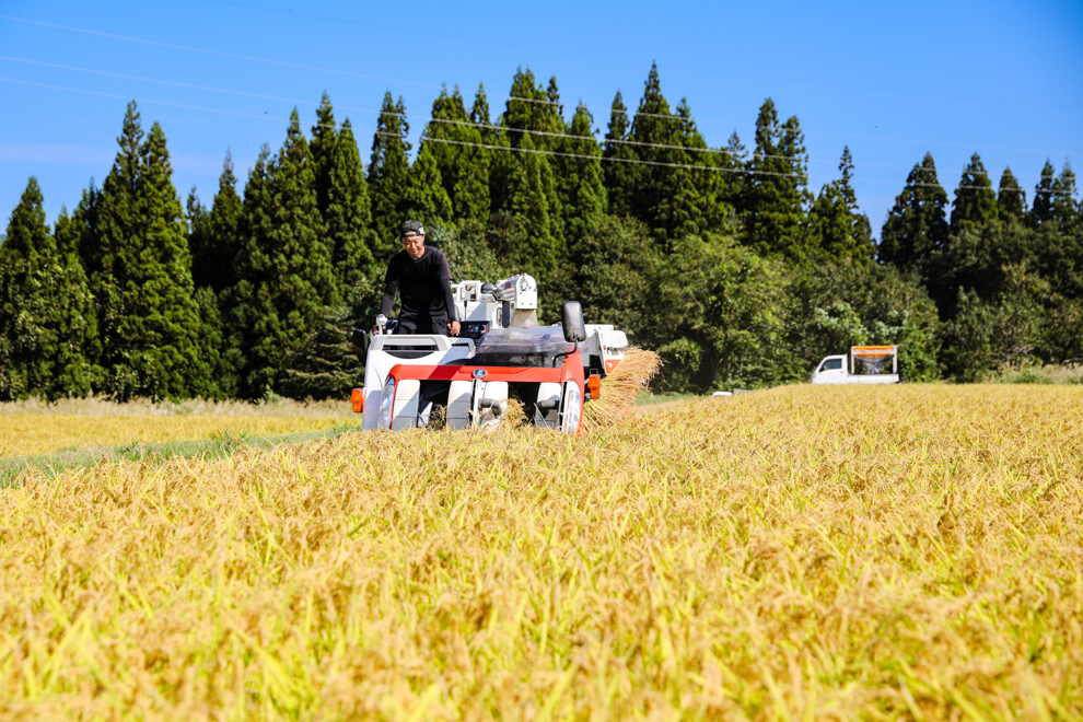 【令和7年産新米】【農家直送】豪雪地・津南町の米農家夫婦が育てた特別栽培魚沼コシヒカリ 3kg×9回（計27kg） 新潟県 津南町 楽丸 127535-003