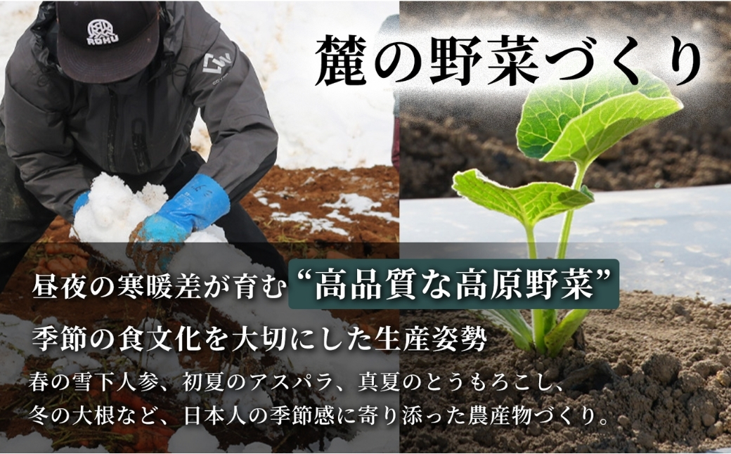 雪下にんじんジュース 200ml（12本1箱）3セット 新潟県 津南町 155751-021