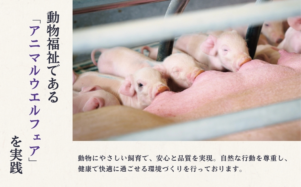 鬼の宝ポークしゃぶしゃぶ食べ比べセット 600g ( ロース・肩ロース・バラ肉 各200g ) 156511-002