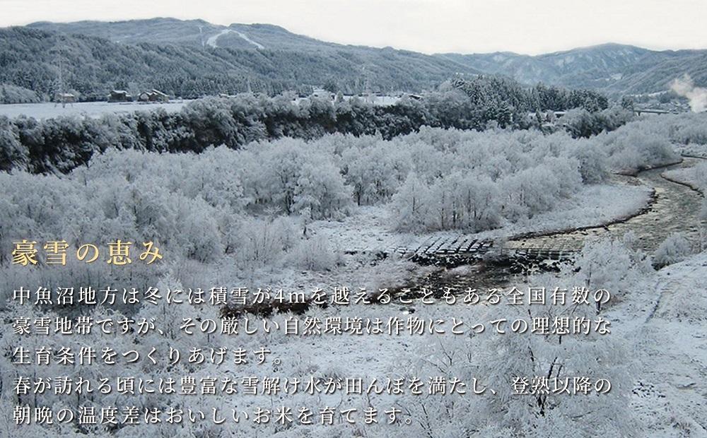 令和7年産 魚沼産コシヒカリ 「金印」 高食味米 5kg127534-028