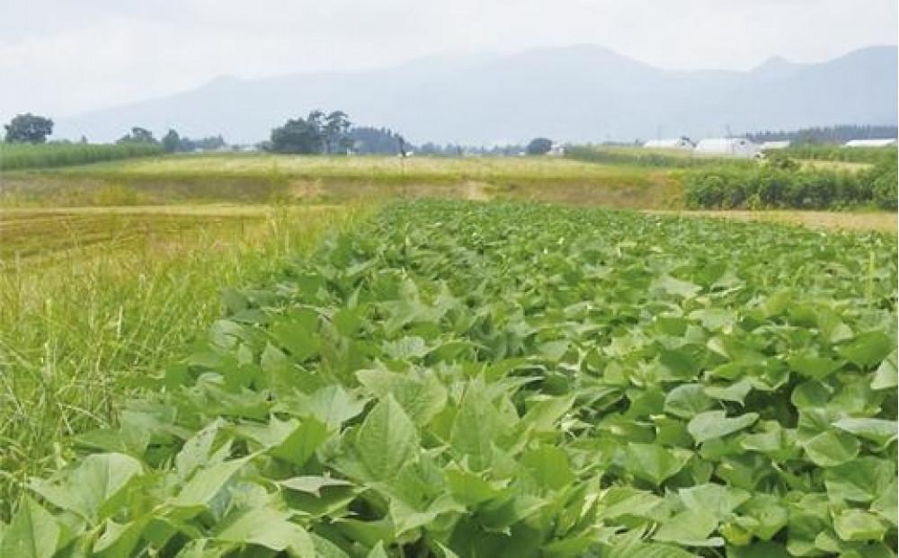 甘党農家のほしいも(シルクスイート) 1kg127538-003