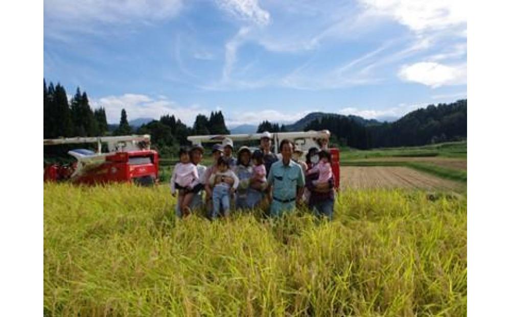 魚沼コシヒカリ 苗場プリンセス 特別栽培米 農薬・化学肥料5割減 ごはんパック【12パック入り】127523-076