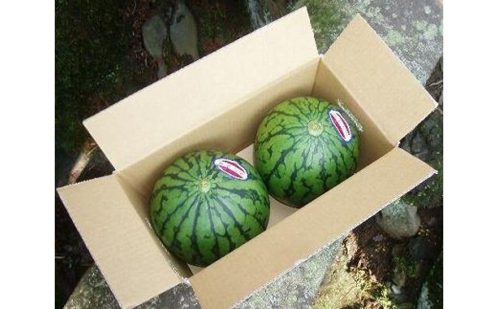 【令和8年産 先行予約】小玉スイカ 2玉 127524-158