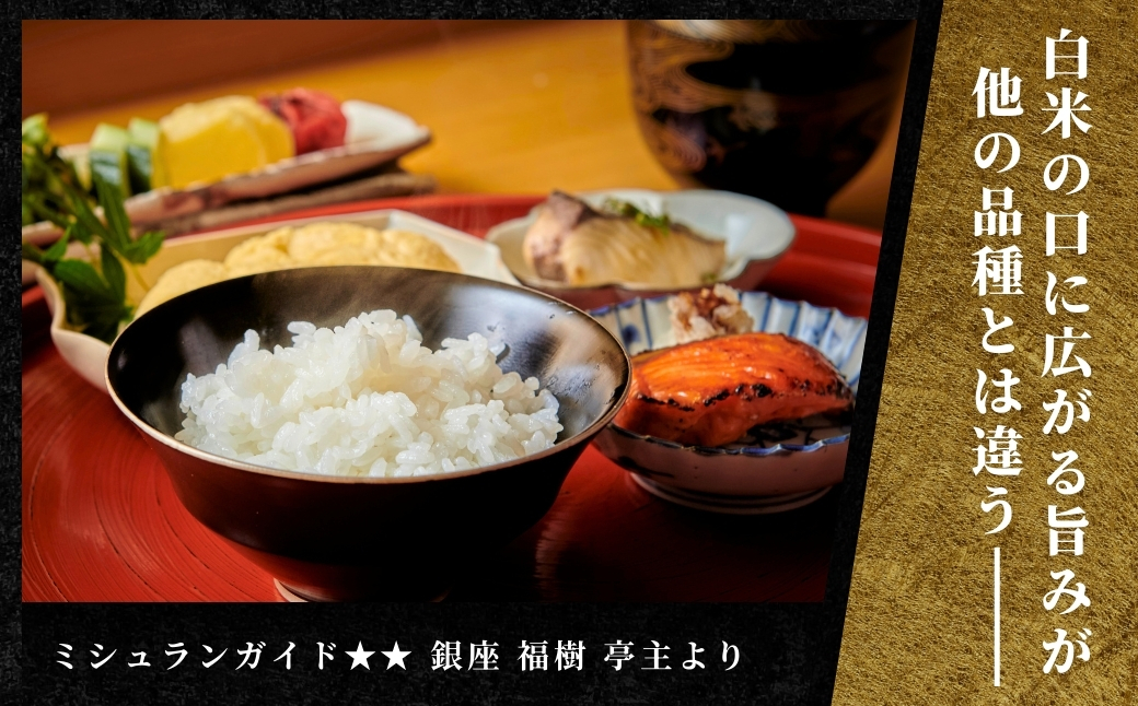 【2025年産新米】【一括発送】最高級魚沼産コシヒカリ「雪椿」20kg (5kg×4袋) 特別栽培米 127527-011