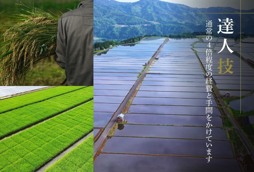 【令和7年産】魚沼産コシヒカリ 雪椿 5kg 特別栽培米 木箱入り 127527-024-sub