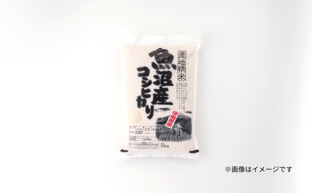 【12ヶ月定期便】【令和7年産】魚沼（津南）産コシヒカリ 10kg（5kg×2袋）新潟県 津南町 (有)フジミヤ 127530-030