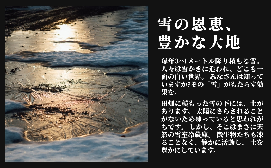 【6ヶ月定期便】【令和7年産】魚沼産  特別栽培米 コシヒカリ「ゆきやまと」20kg (5kg×4袋) ※節減対象農薬当地比5割減 ※東京米スターセレクション金賞受賞 127537-009