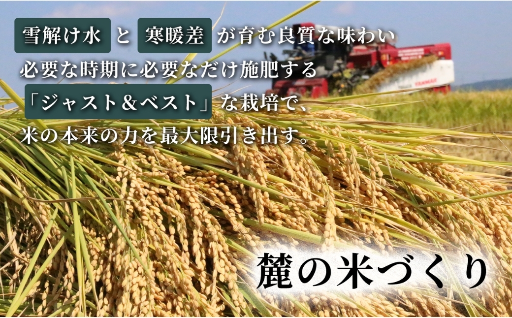 令和7年産 魚沼産コシヒカリNo.6 10kg(5kg×2袋)｜米 こしひかり 新潟 津南町 155751-003