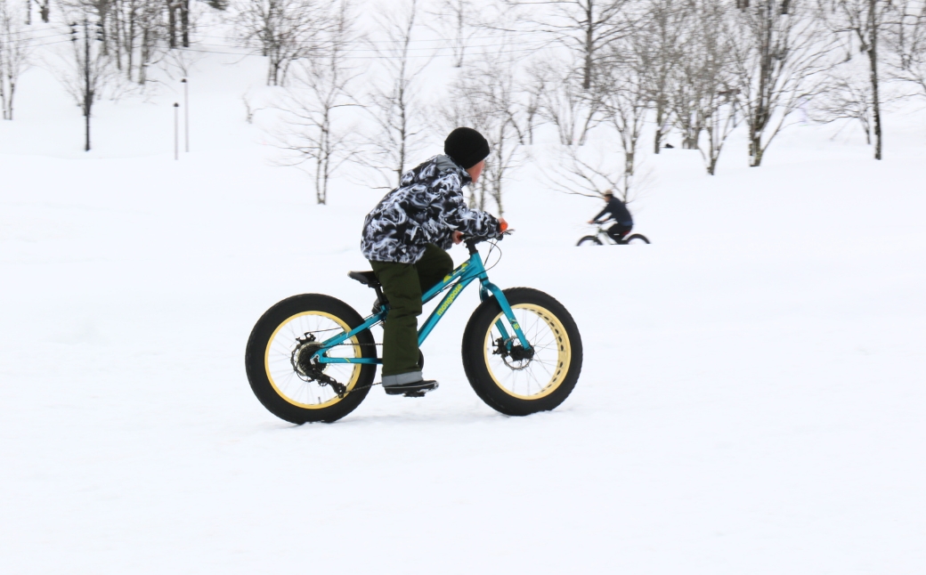 【2026年3月14日(土)開催】第50回つなん雪まつり チケット 津南小学校エリア（S）スカイランタン付駐車場券 | 新潟県 津南町 163576-002