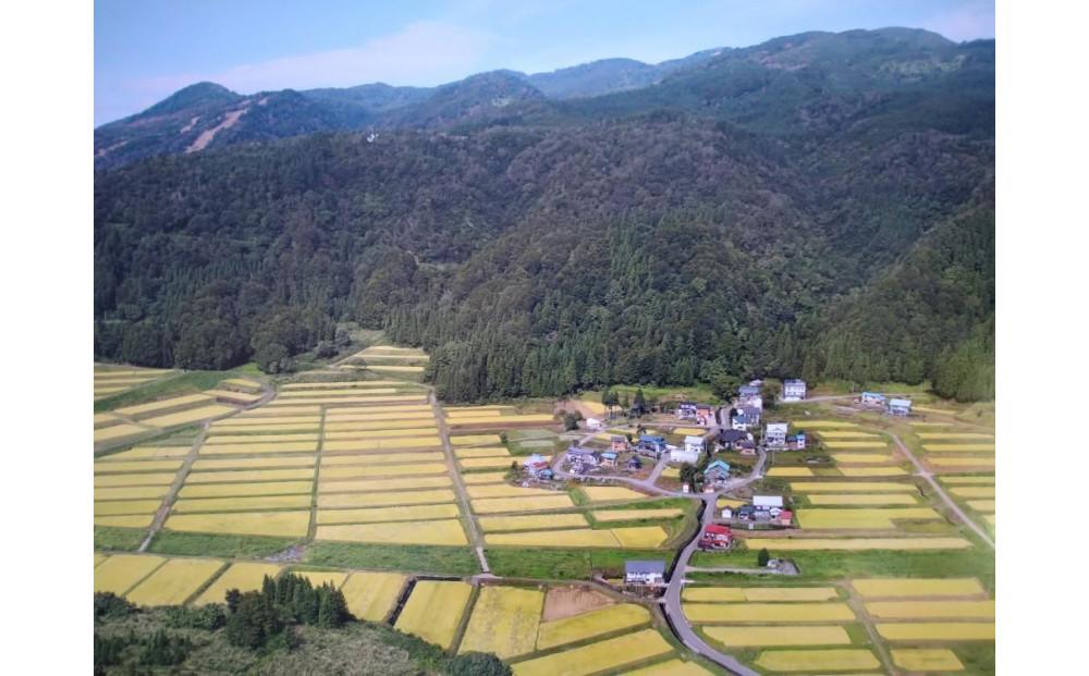 魚沼産コシヒカリ 苗場プリンセス 特別栽培米 農薬・化学肥料5割減 ごはんパック【6パック入り】127523-075