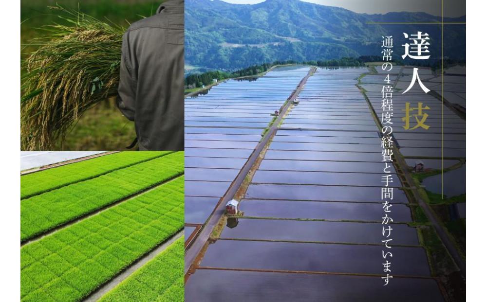 【2025年産新米】【ギフト用】最高級魚沼産コシヒカリ「雪椿」2kg×2袋 化粧箱入り 特別栽培米127527-023