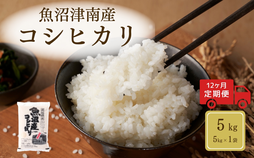 【12ヶ月定期便】【令和7年産】魚沼（津南）産コシヒカリ 5kg（5kg×1袋）新潟県 津南町 (有)フジミヤ 127530-029