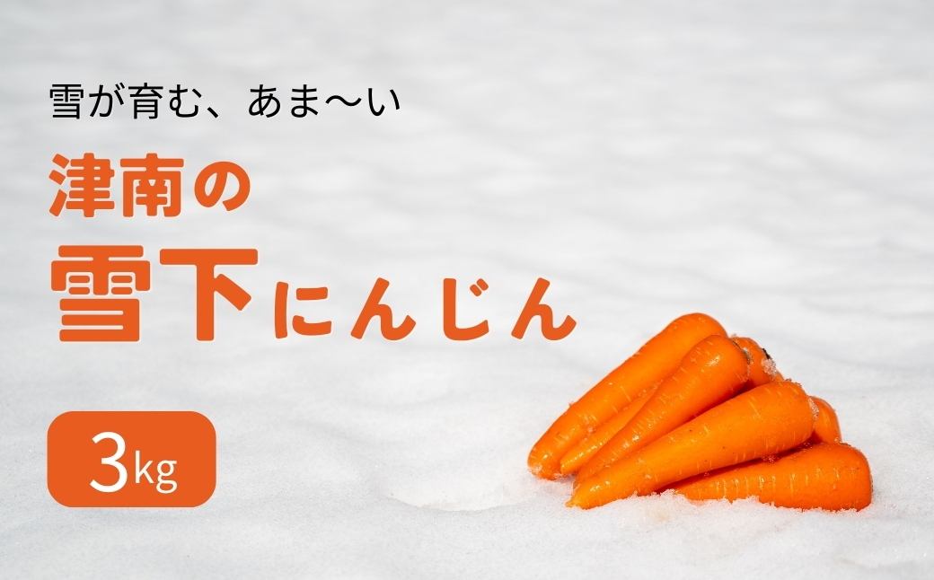 【令和8年産先行予約】津南の雪下にんじん 3kg 新潟県 津南町 旭商事株式会社 127531-013