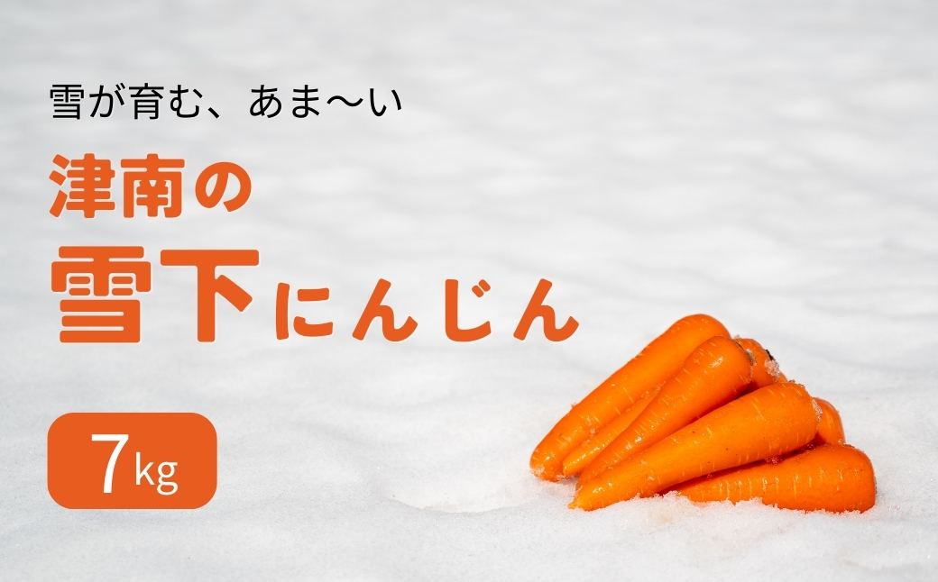 【令和8年産先行予約】津南の雪下にんじん 7kg 新潟県 津南町 旭商事株式会社 127531-014