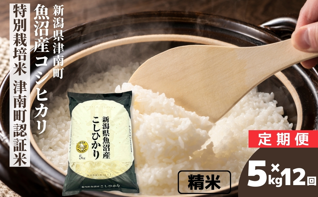 【12ヶ月定期便】令和7年産 魚沼産コシヒカリ 特別栽培米 津南町認証米 5kg 129404-016