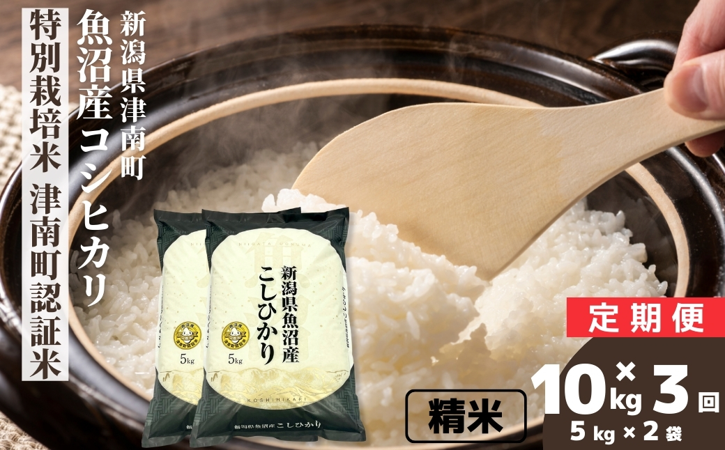 【3ヶ月定期便】【令和7年産】魚沼産コシヒカリ 特別栽培米 津南町認証米 10kg(5kg×2袋) 新潟県 津南町 大阪屋商店 129404-026