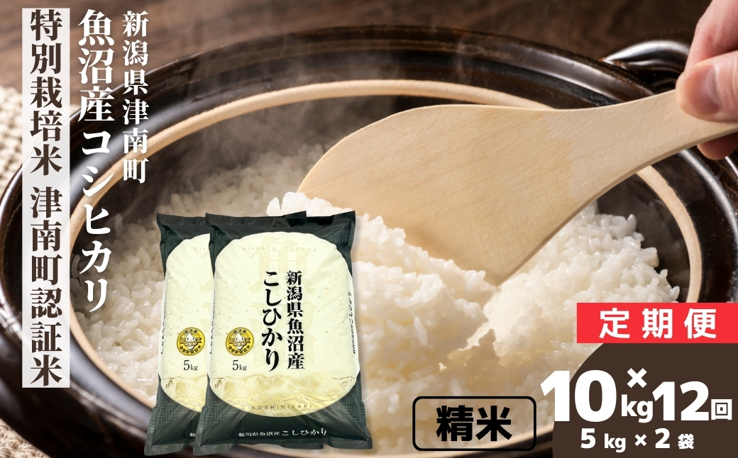 【12ヶ月定期便】【令和7年産】魚沼産コシヒカリ 特別栽培米 津南町認証米 10kg(5kg×2袋) 新潟県 津南町 大阪屋商店 129404-028