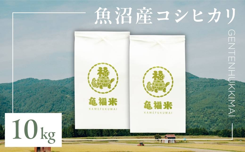 令和7年産 魚沼産コシヒカリ「亀福 原点復帰米」10kg(5kg×2袋) (特別栽培米) 新潟県 津南町 株式会社亀福 155399-006