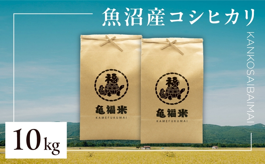 令和7年産 魚沼産コシヒカリ「亀福 慣行栽培米」10kg(5kg×2袋) 新潟県 津南町 株式会社亀福 155399-008