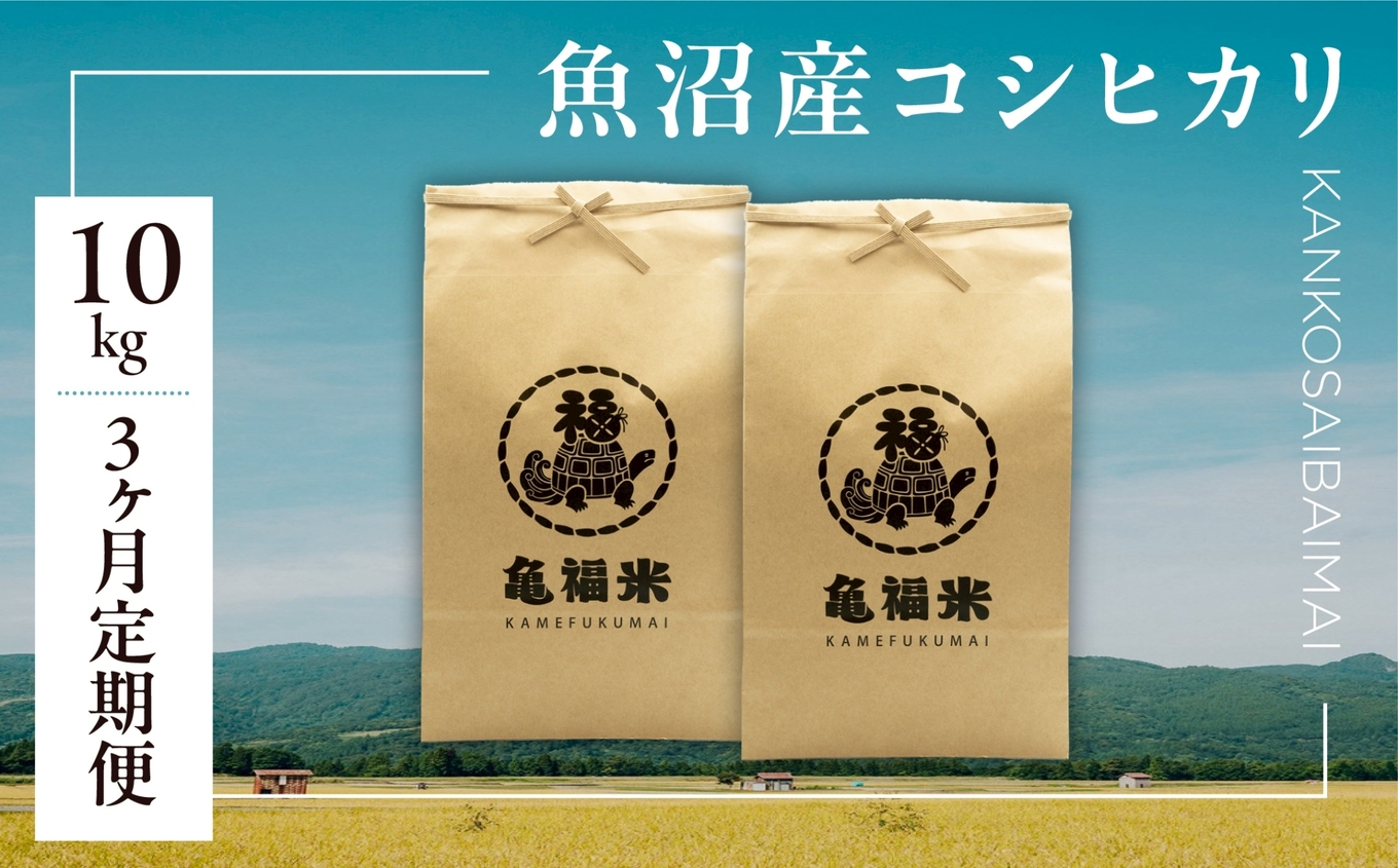 【3ヶ月定期便】令和7年産 魚沼産コシヒカリ「亀福 慣行栽培米」10kg(5kg×2袋) 新潟県 津南町 株式会社亀福 155399-011