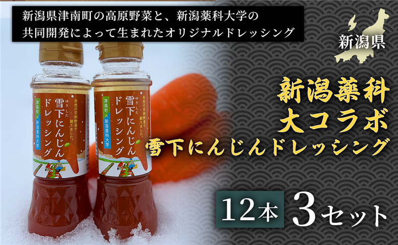 【野菜の旨みそのまま】新潟薬科大コラボ 雪下にんじんドレッシング12本セット 3セット 155751-098