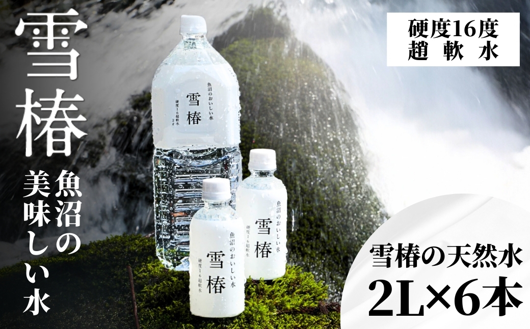 雪椿の天然水 2L×6本127527-001