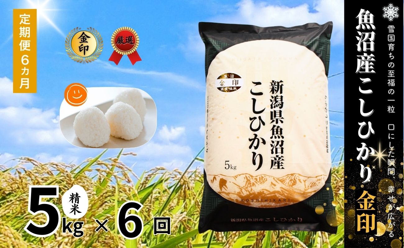 【6ヶ月定期便】令和7年産新米  魚沼産コシヒカリ「金印」高食味米 5kg×全6回127534-022