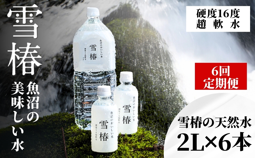 【6ヶ月定期便】雪椿の天然水 2L×6本127527-002