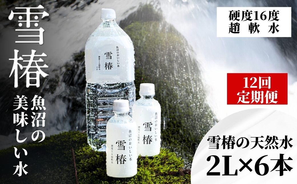 【12ヶ月定期便】雪椿の天然水 2L×6本127527-003