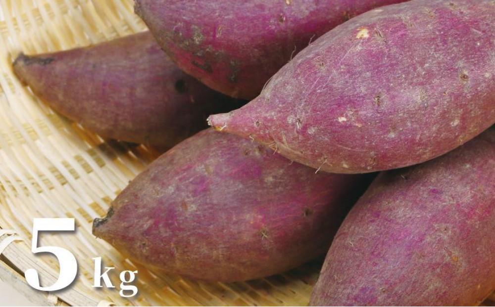 極み熟成 甘党農家のシルクスイート 5kg「クイーンシルク」127538-001