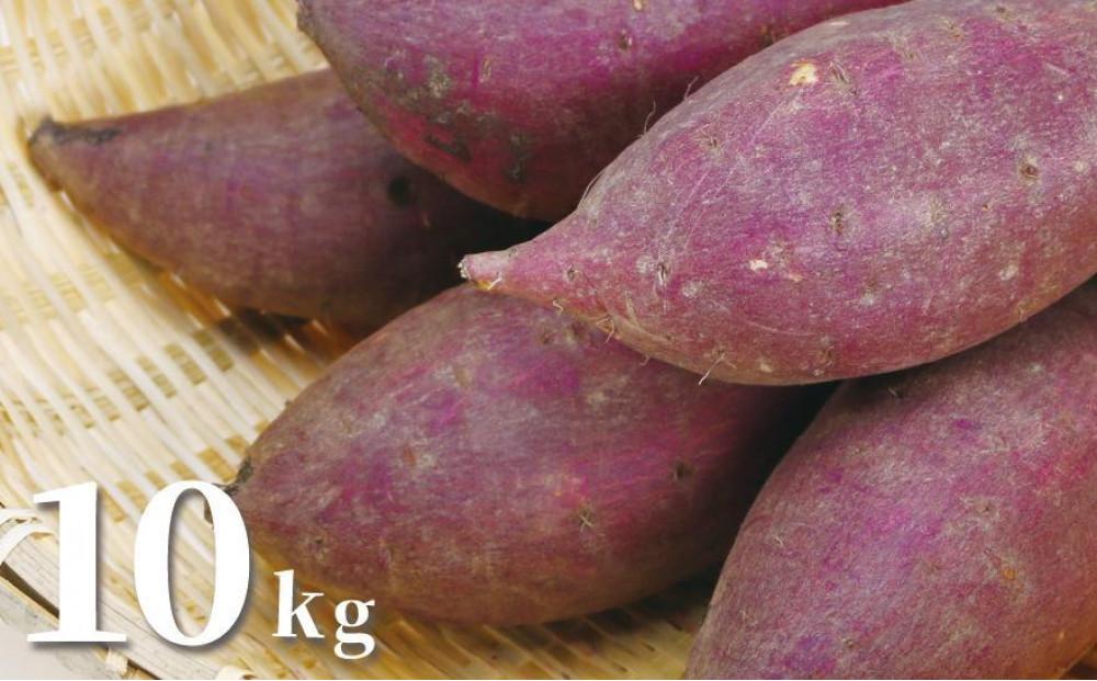 極み熟成 甘党農家のシルクスイート 10kg「クイーンシルク」127538-002