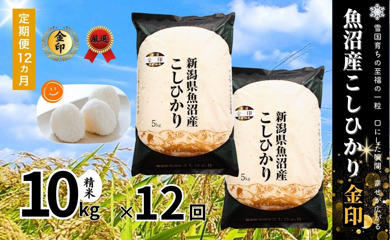 【12ヶ月定期便】令和7年産新米 魚沼産コシヒカリ「金印」高食味米 10kg×全12回127534-043