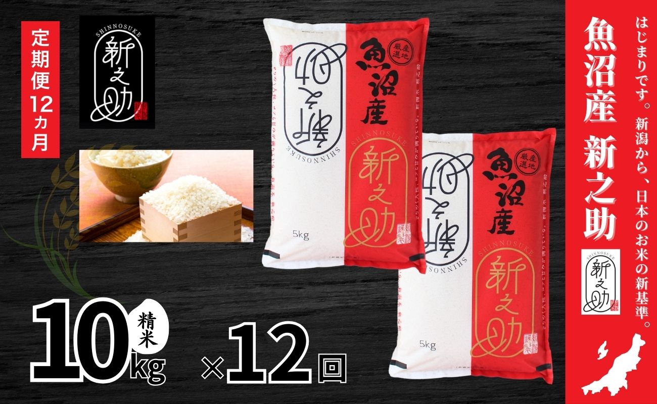 【12ヶ月定期便】令和7年産 中魚沼産「新之助(しんのすけ)」10kg×全12回127534-048