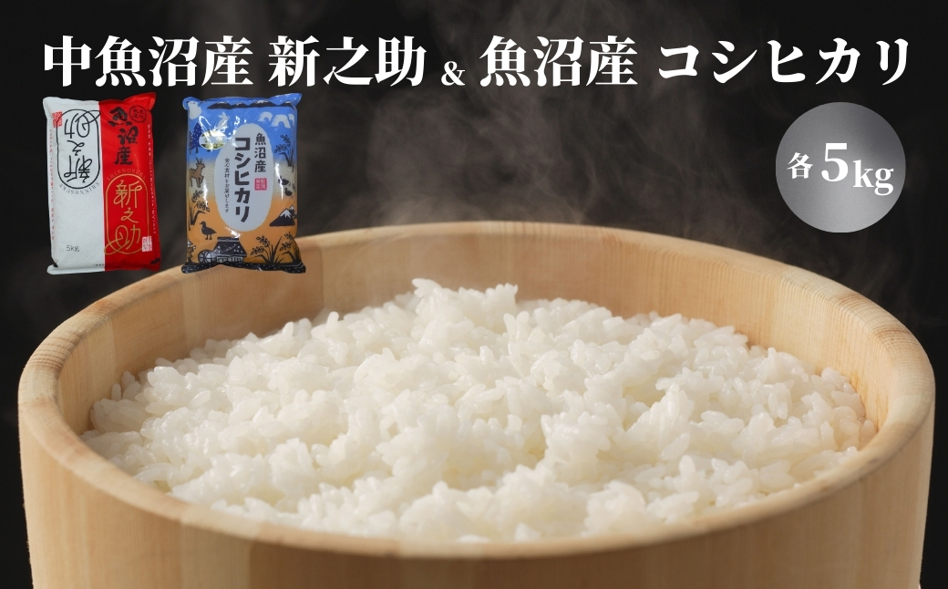 令和7年産 中魚沼産「新之助」5kg ＋ 魚沼産コシヒカリ「金印」5kg 食べ比べセット127534-053