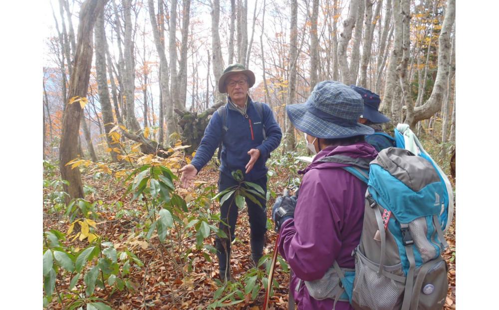 【津南町森林組合】まる1日津南体験（広葉樹植栽体験と津南ジオパークトレッキング体験）1名様127525-005