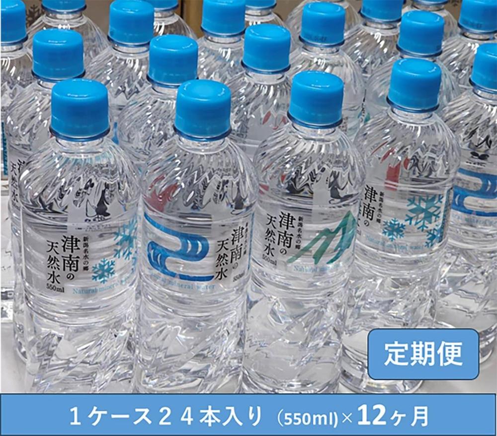 【12ヶ月定期便】魚沼名水の郷 津南の天然水 550ml×24本127523-091