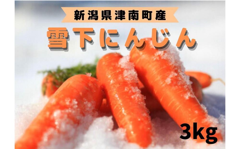 【令和8年産 先行予約】雪国ならではの逸品！津南町の雪下にんじん 3kg 15?20本 127524-088