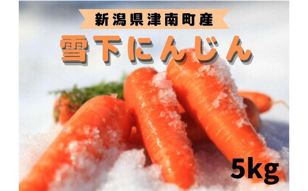 【令和8年産 先行予約】雪国ならではの逸品！津南町の雪下にんじん 5kg 25?35本 127524-089