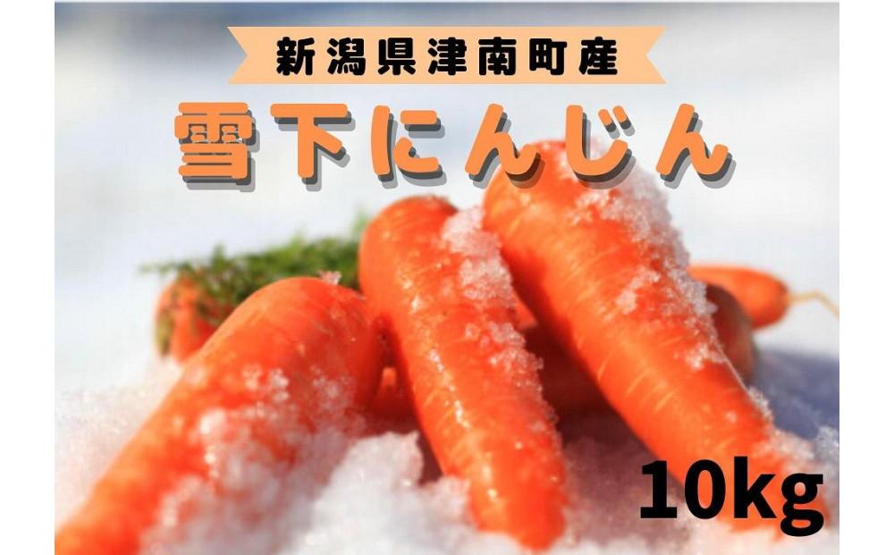 【令和8年産 先行予約】雪国ならではの逸品！津南町の雪下にんじん 10kg 50?70本 127524-090