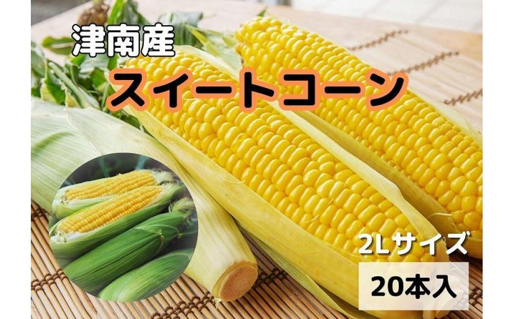 【令和8年産 先行予約】朝採りスイートコーン 2Lサイズ 20本（1本約400g）127524-164