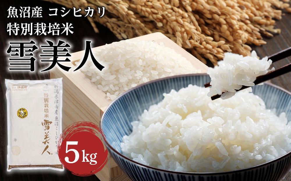 【令和7年産新米予約】 魚沼産コシヒカリ特別栽培米 「雪美人」 （5kg）129400-001