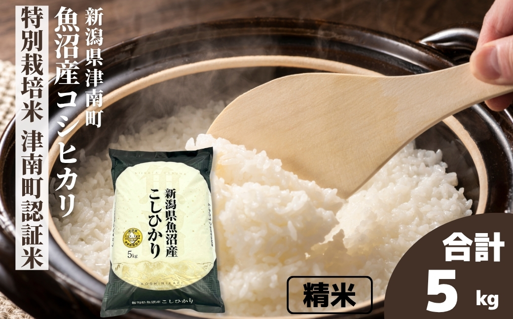 【令和7年産】魚沼産コシヒカリ 特別栽培米 津南町認証米（5kg）新潟県 津南町 大阪屋商店 129404-004