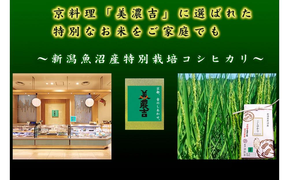 【令和6年産米】魚沼津張屋 特別栽培津南認証米魚沼産コシヒカリ 5kg129405-012