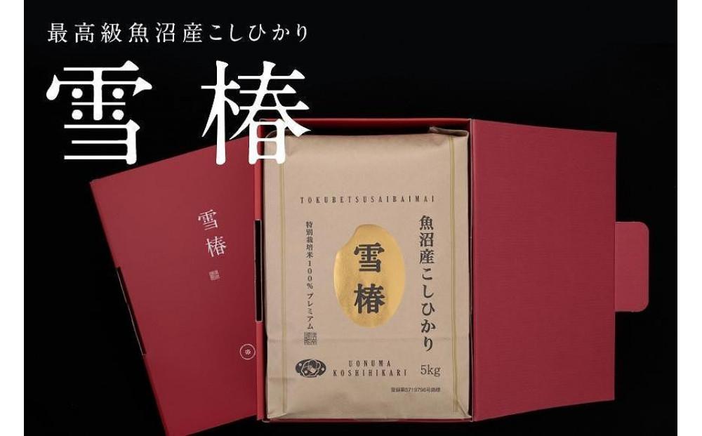 【2025年産新米】【化粧箱入り】最高級魚沼産コシヒカリ「雪椿」5kg (5kg×1袋) 特別栽培米127527-022