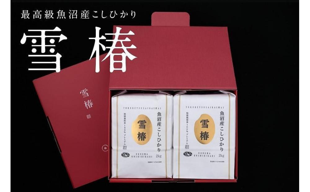 【2025年産新米】【ギフト用】最高級魚沼産コシヒカリ「雪椿」2kg×2袋 化粧箱入り 特別栽培米127527-023