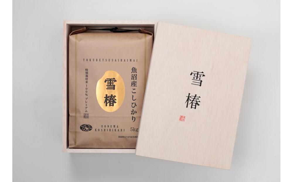 【令和7年産】魚沼産コシヒカリ 雪椿 5kg 特別栽培米 木箱入り 127527-024