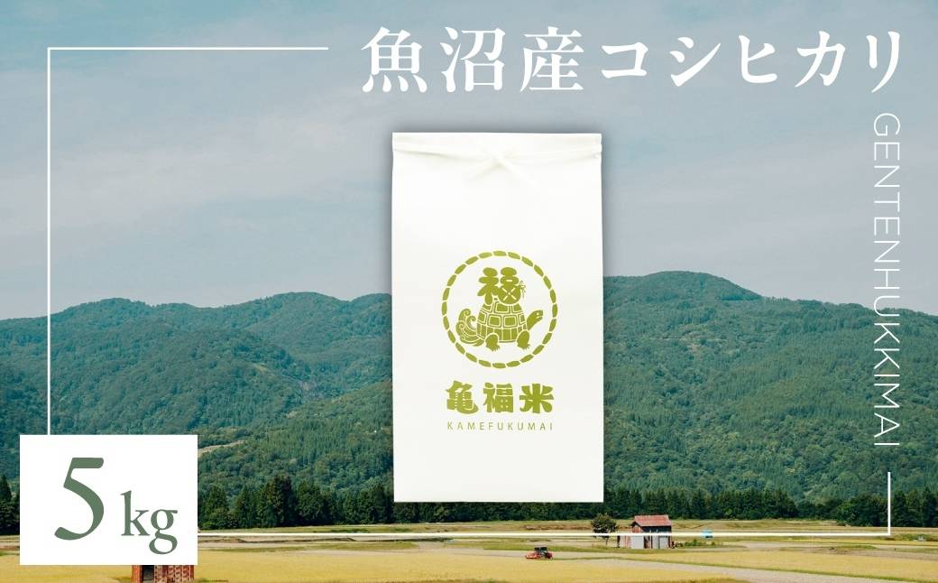 令和7年産 魚沼産コシヒカリ「亀福 原点復帰米」5kg(特別栽培米) 新潟県 津南町 株式会社亀福