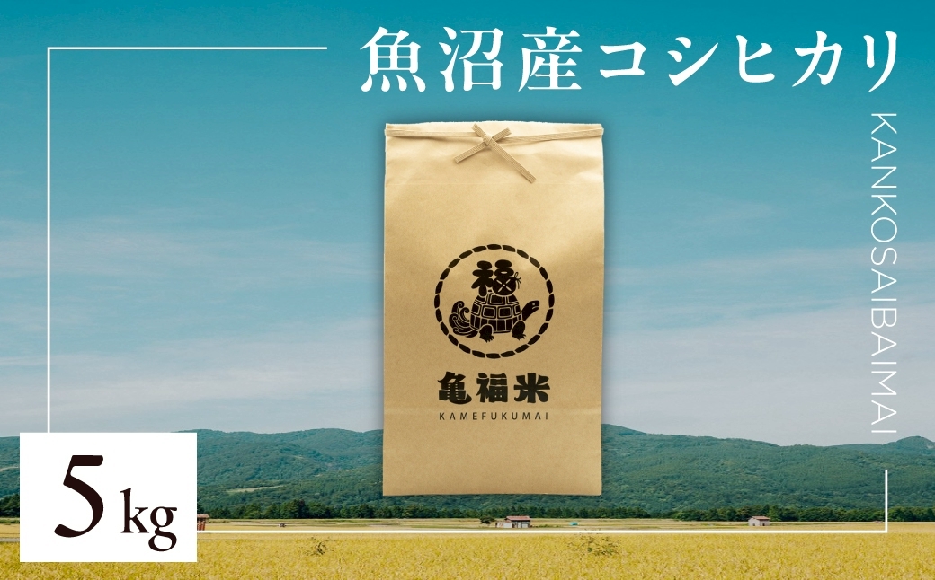令和7年産 魚沼産コシヒカリ「亀福 慣行栽培米」5kg 新潟県 津南町 株式会社亀福