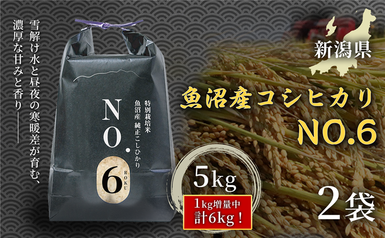 令和7年産 魚沼産コシヒカリNo.6 10kg(5kg×2袋)|米 こしひかり 新潟 津南町