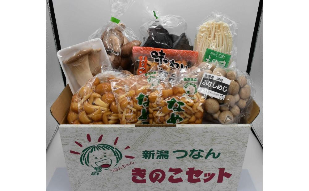 [津南町森林組合]きのこセット(8種 約1600g)12